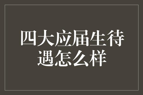 四大应届生待遇怎么样