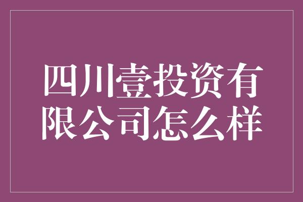 四川壹投资有限公司怎么样