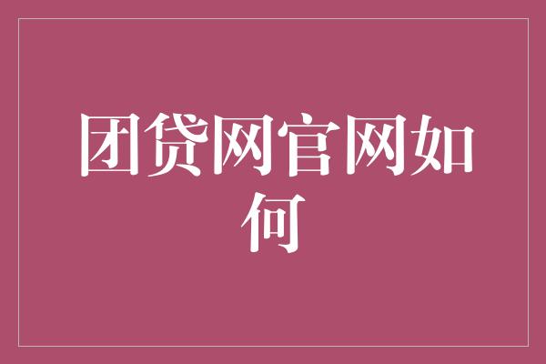 团贷网官网如何