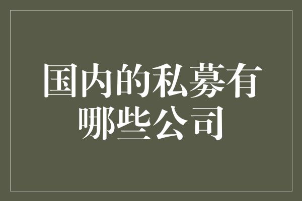 国内的私募有哪些公司