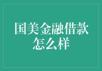 国美金融借款服务全面解析：优势与风险并存