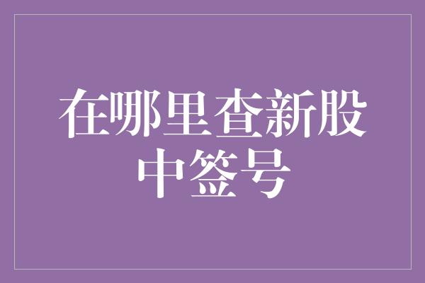 在哪里查新股中签号