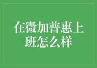 微加普惠：一场金融界的变形记