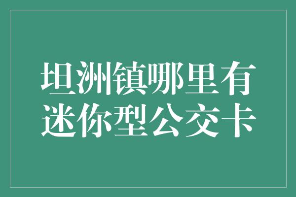 坦洲镇哪里有迷你型公交卡