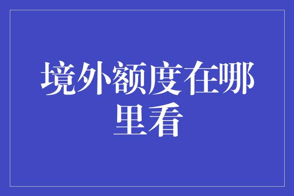 境外额度在哪里看