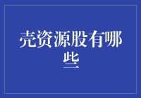 揭秘壳资源股的神秘面纱：它们究竟是何方神圣？