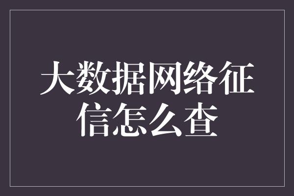 大数据网络征信怎么查