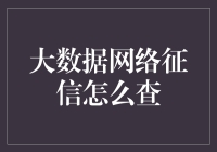 大数据网络征信：如何高效查询与解读