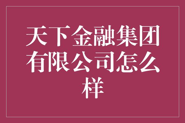 天下金融集团有限公司怎么样