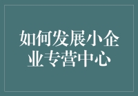 构建高效的小企业专营中心：策略与实践