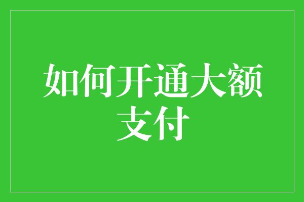 如何开通大额支付