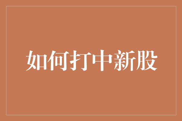 如何打中新股