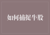 如何捕捉牛股：从基本面到技术面的全方位解析