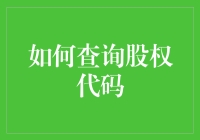 如何查询股权代码：一份详尽的指南