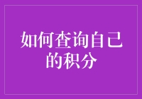 如何利用积分管理系统查询自己的积分：一个全面指南