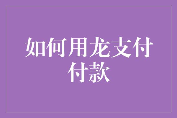 如何用龙支付付款