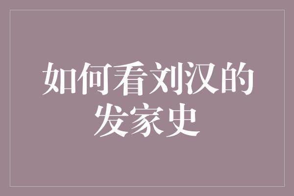 如何看刘汉的发家史