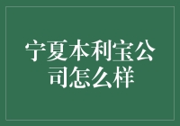 宁夏本利宝公司：绿色能源与可持续发展的先锋