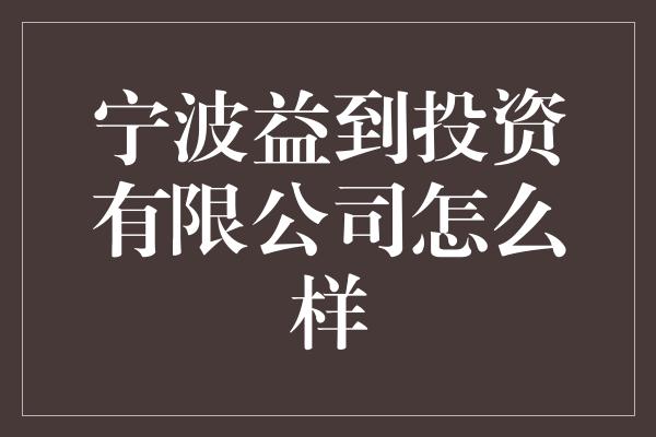 宁波益到投资有限公司怎么样