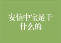 安信中宝：数据安全的守护者