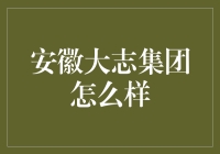 安徽大志集团：一场从志出发的创业盛宴