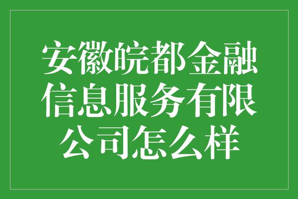 安徽皖都金融信息服务有限公司怎么样