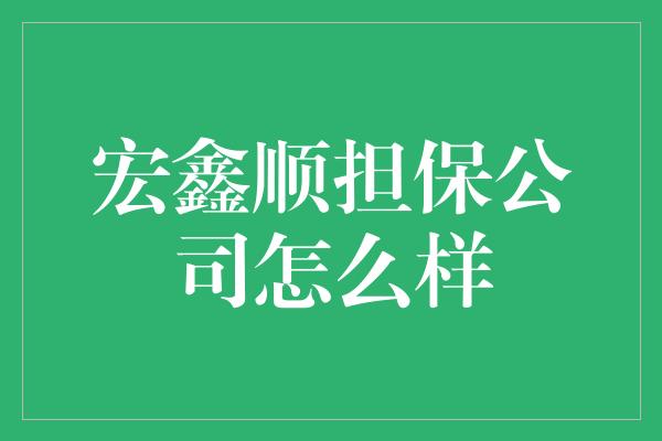 宏鑫顺担保公司怎么样