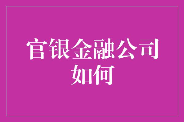 官银金融公司如何