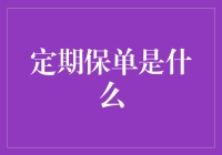 定期保单：保障与灵活性并存的选择