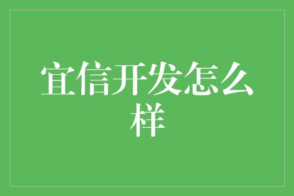 宜信开发怎么样