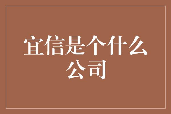 宜信是个什么公司