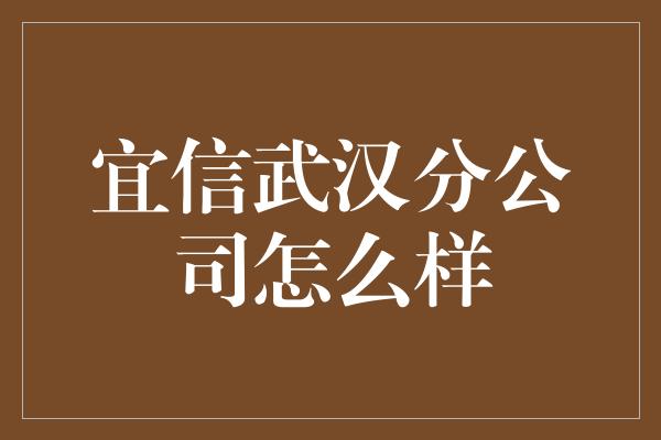 宜信武汉分公司怎么样