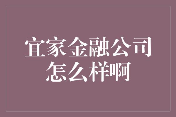 宜家金融公司怎么样啊