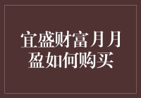 宜盛财富月月盈购买流程详解与注意事项解析