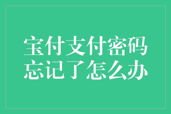 宝付支付密码忘记了怎么办