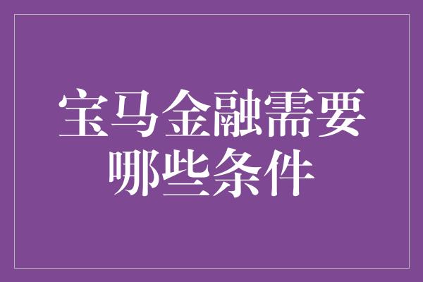 宝马金融需要哪些条件