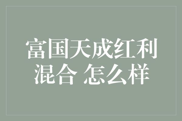 富国天成红利混合 怎么样