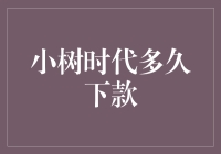 小树时代的信用卡审批周期：探索背后的影响因素与优化策略