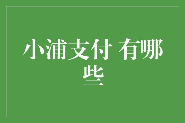 小浦支付 有哪些