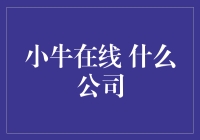 小牛在线：创新金融与合规经营并重的企业介绍