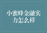 小蜜蜂金融：实力解析与市场表现