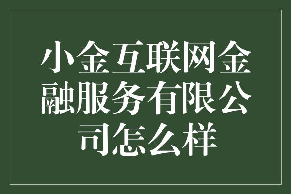 小金互联网金融服务有限公司怎么样