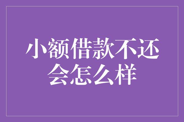 小额借款不还会怎么样