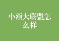 小额大联盟：如何将小众兴趣汇聚成商业巨浪？