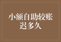 小额自助较账迟多久：从金融科技角度探讨小额支付账单的处理时间