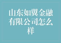 山东如翼金融有限公司：一场职场江湖的奇幻之旅