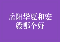 岳阳华夏与宏毅之争：谁才是岳阳市的学术界宠儿？