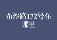 布沙路172号：一个迷人的谜题