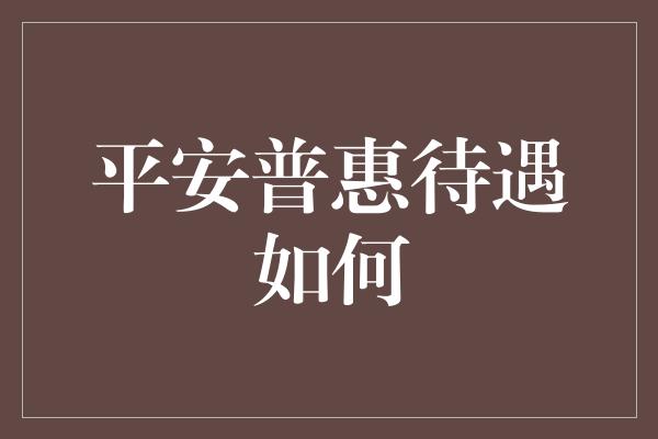 平安普惠待遇如何