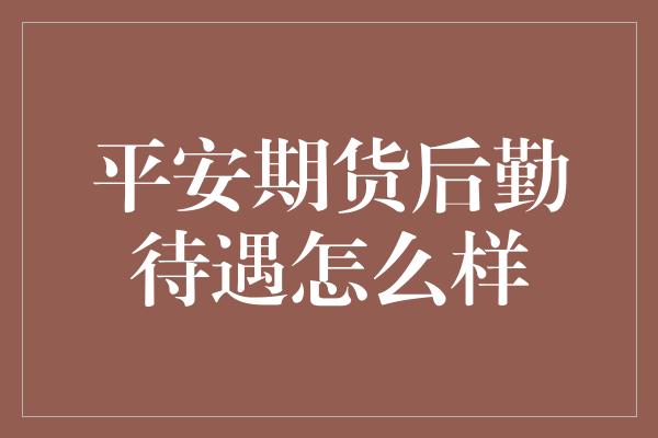 平安期货后勤待遇怎么样